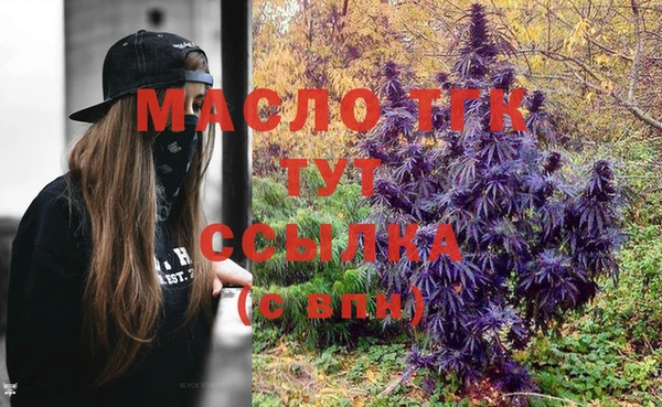 твердый Инсар