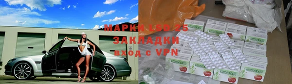 твердый Инсар