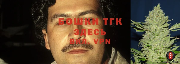 твердый Инсар
