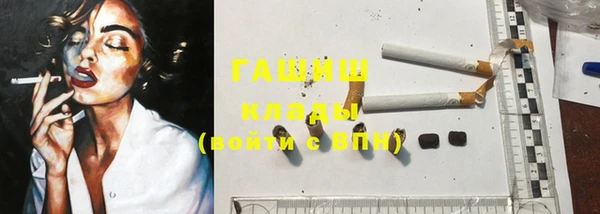 твердый Инсар