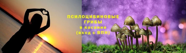 твердый Инсар