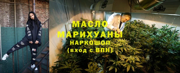 твердый Инсар