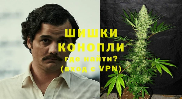 твердый Инсар