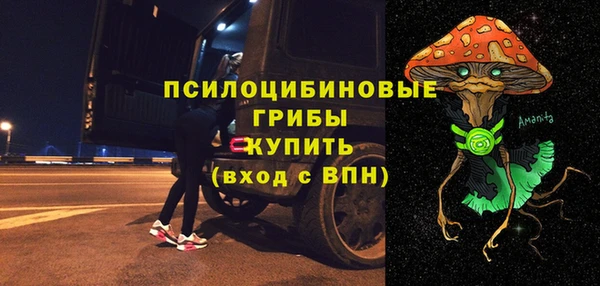 твердый Инсар