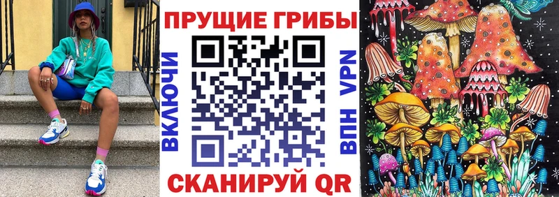 Купить где  Липки  Псилоцибиновые грибы MAGIC MUSHROOMS 